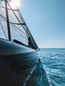 Voile de Course au large Axe Sail Quantum Sails
